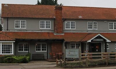 Orange Tree - Hitchin