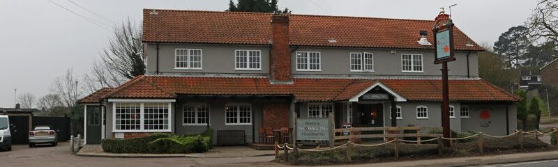 Orange Tree - Hitchin