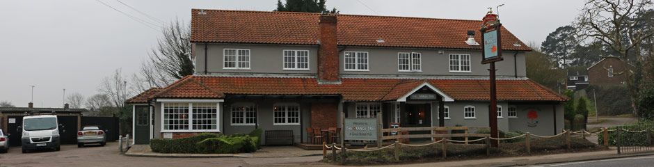 Orange Tree - Hitchin